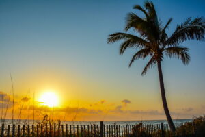 Fort Myers concierge care doctor cash pay holistic longevity medicine functional health doctor.